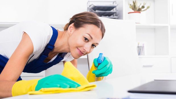 Images The Cleaning Pros