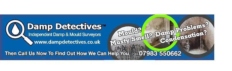 Images Damp Detectives