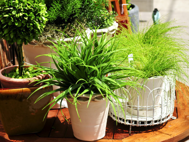 Images agri.com.