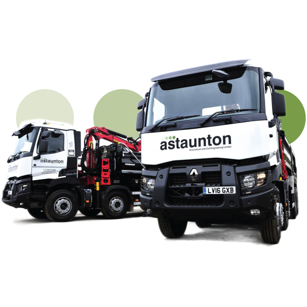 company logo