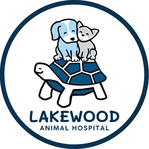 Veterinarian in Morris, IL | Lakewood Animal Hospital