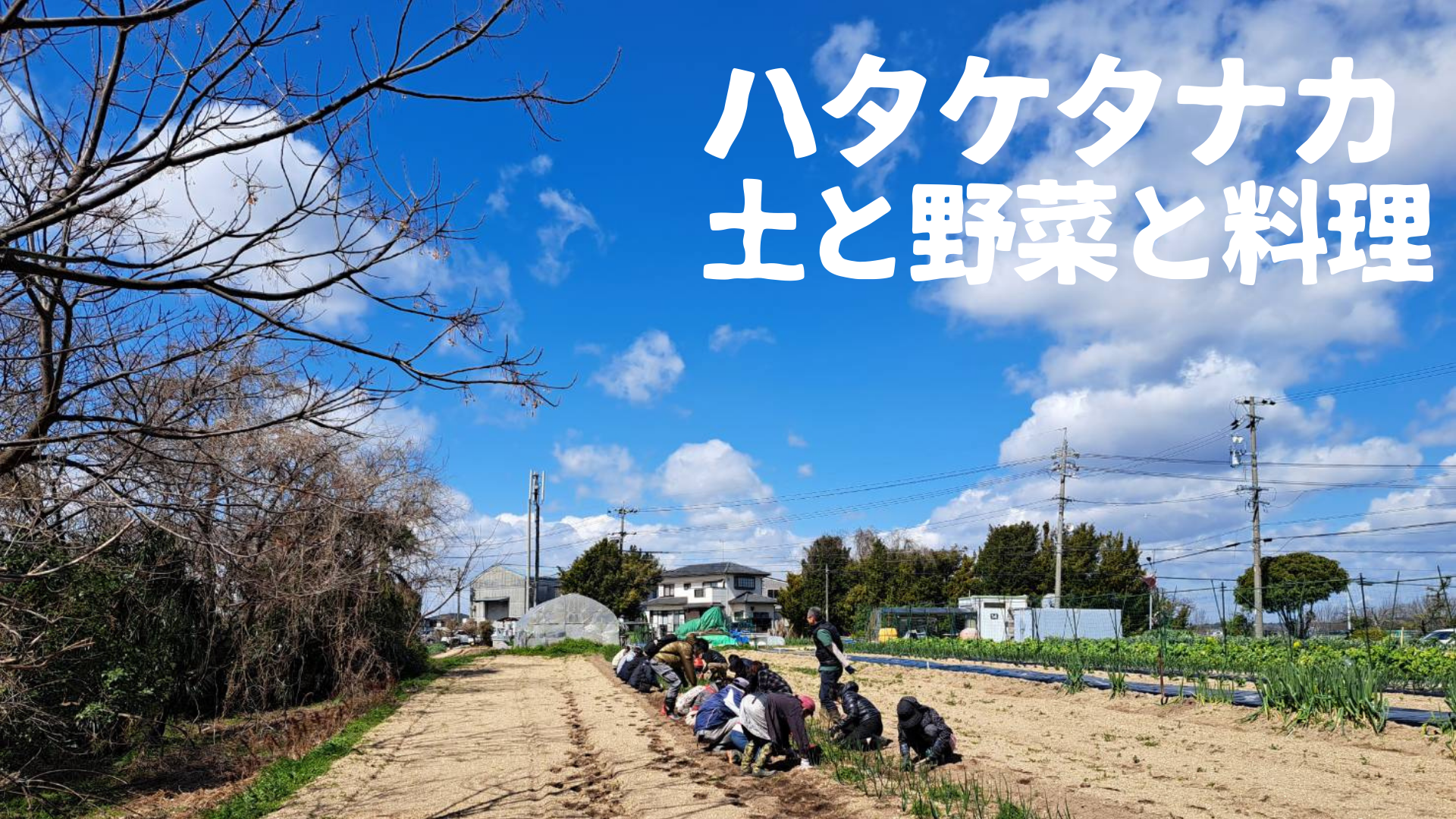 Images ハタケタナカ 土と野菜と料理
