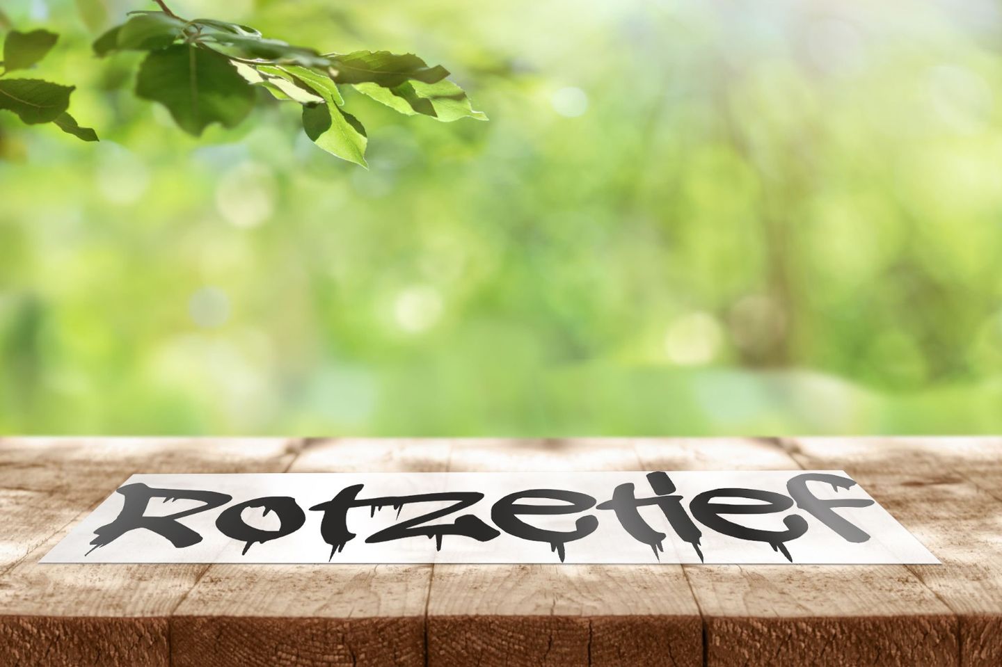 Bilder Stefan Schild Rotzetief Tuning