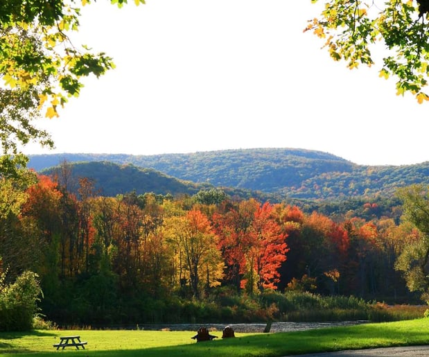 Images Hampton Inn & Suites Berkshires-Lenox