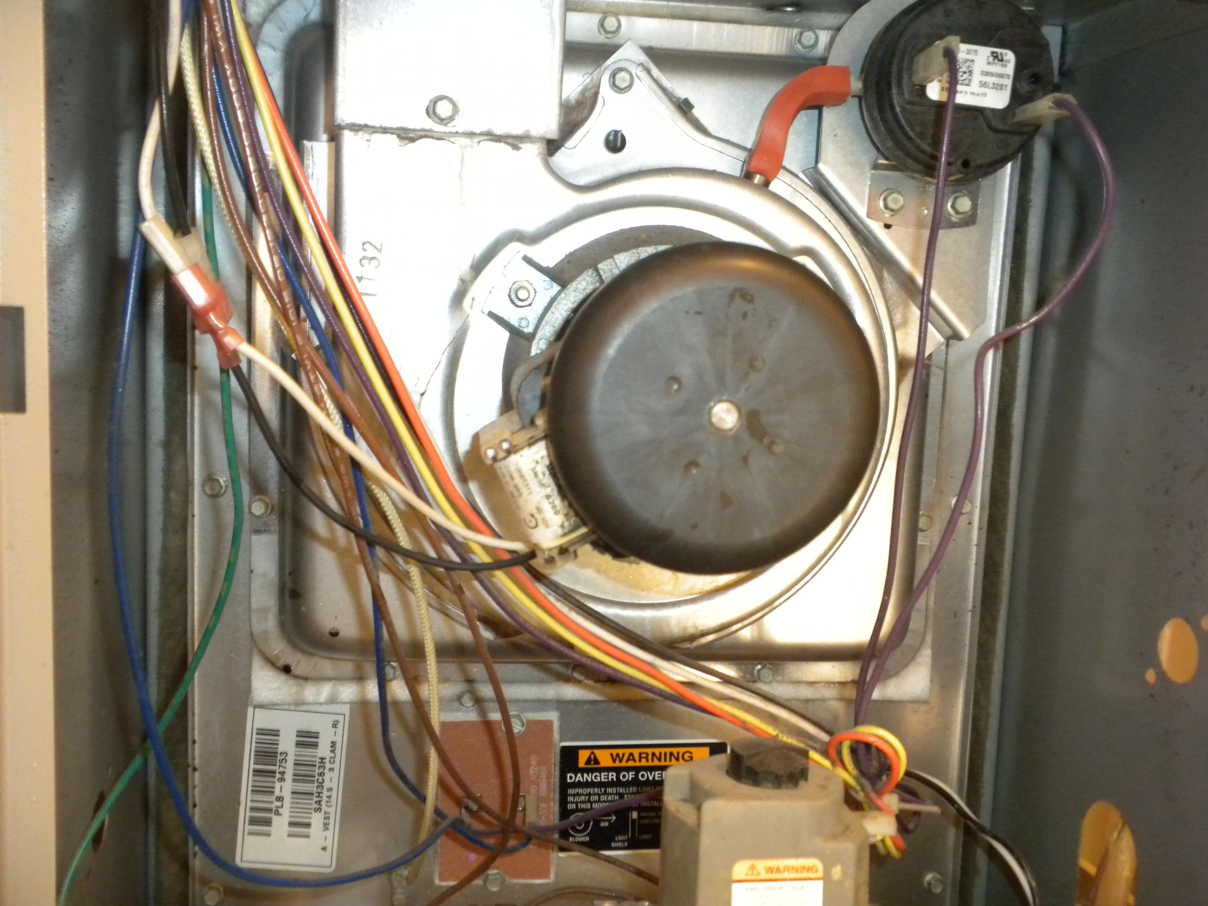 David Williams, Home Inspections