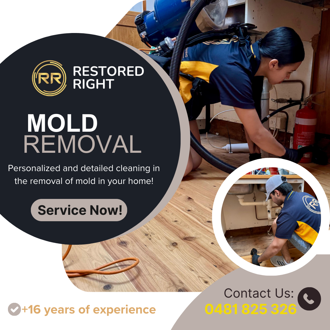Images Restored Right flood Restoration Carpet Cleaning & Cleaning Services