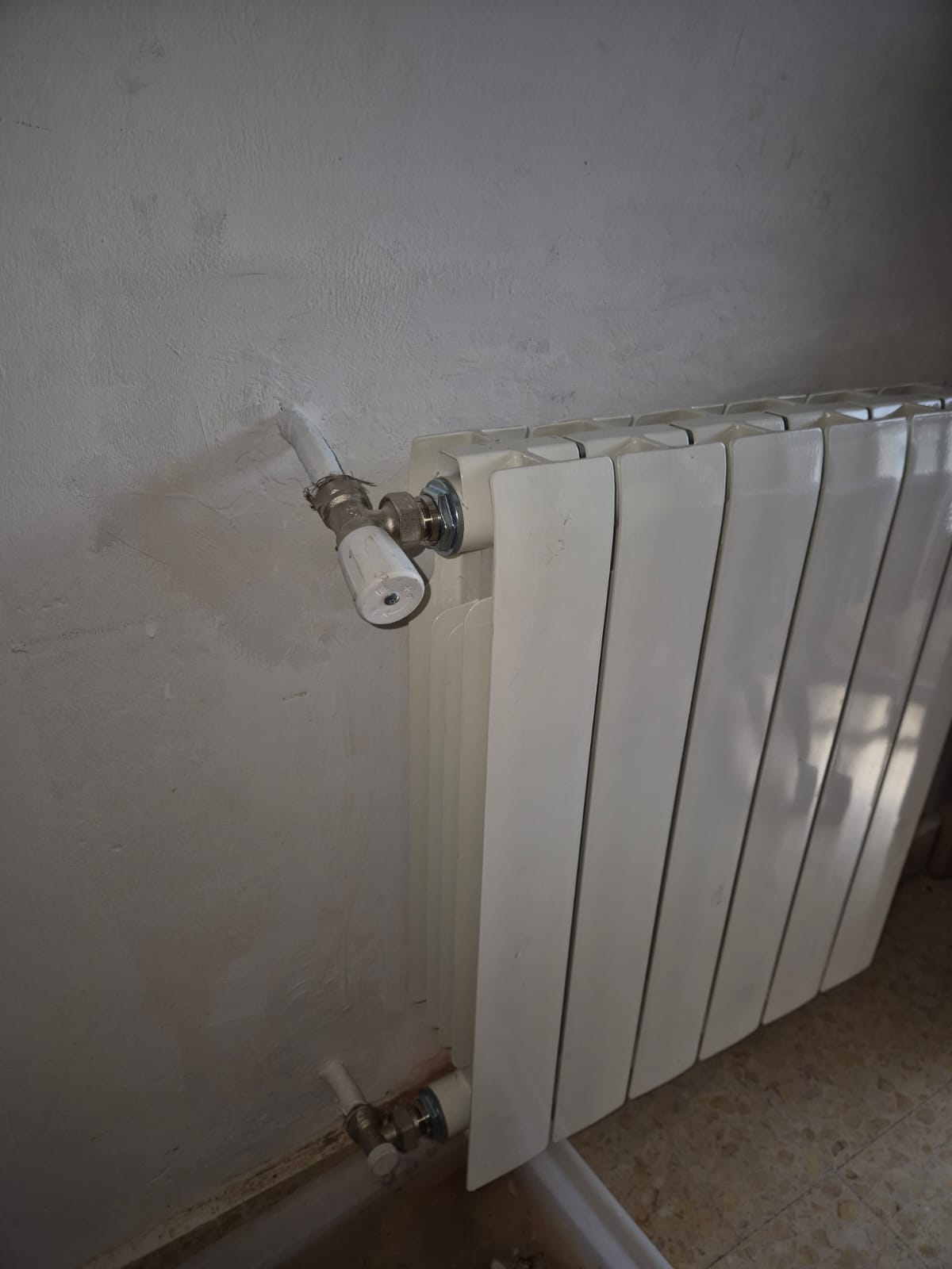 Images Reformas Carlos William