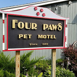 Images Four Paws Pet Motel