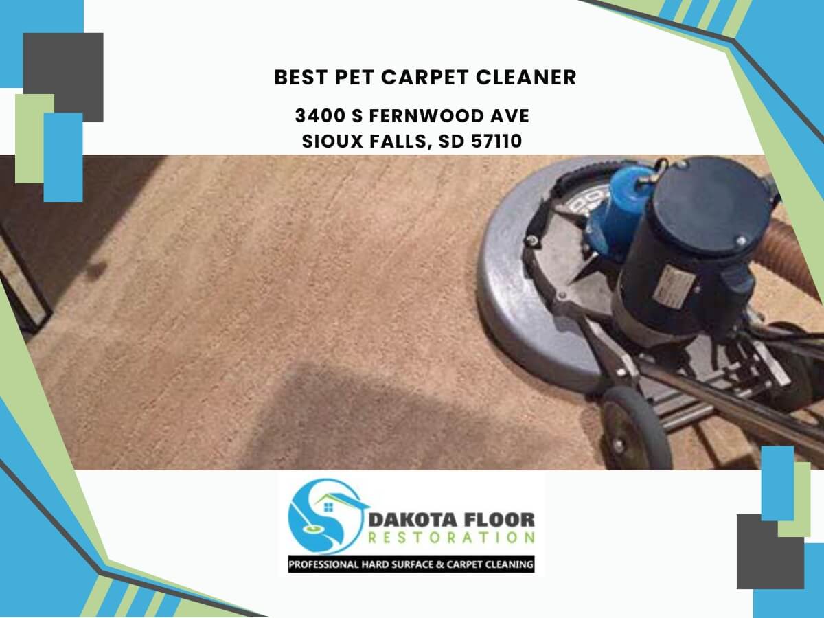 best pet carpet cleaner