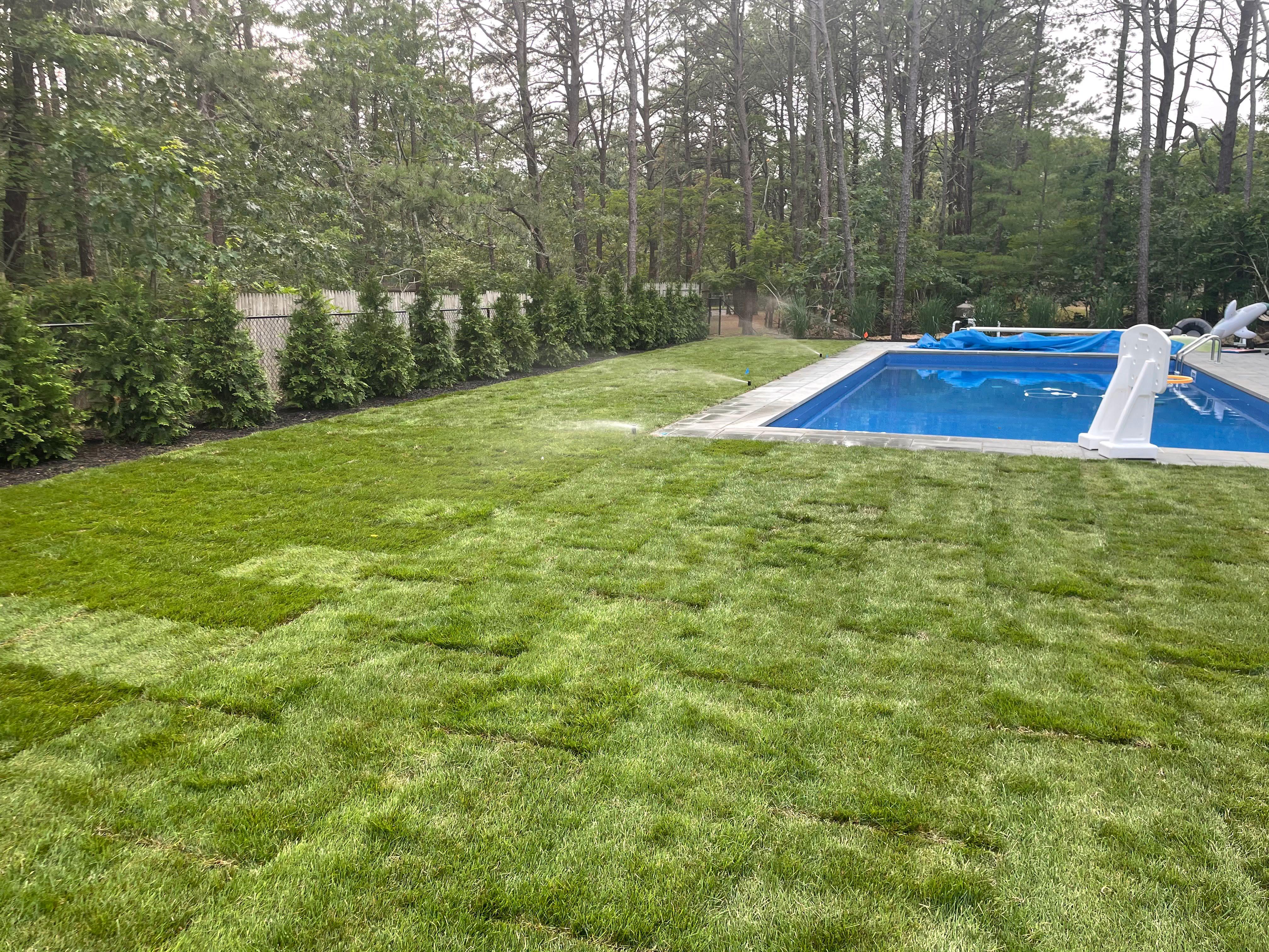 Sod Installation Services