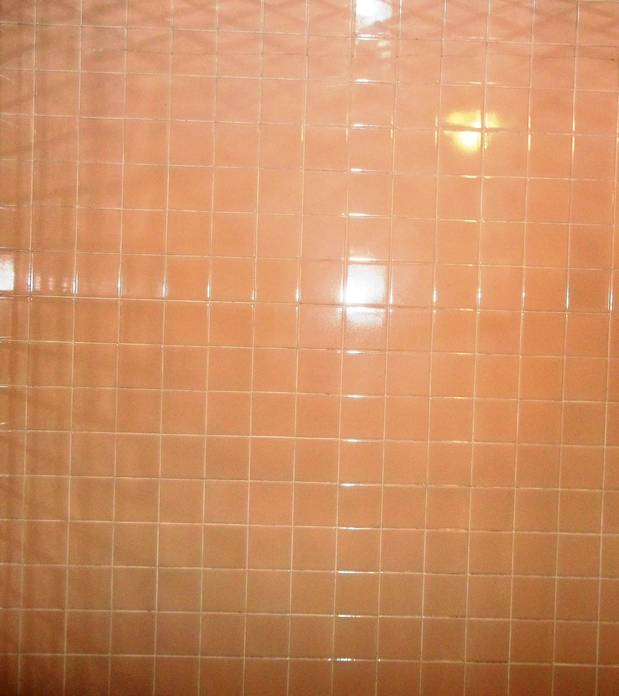 Images Cleaning Guy'z Company, Inc.