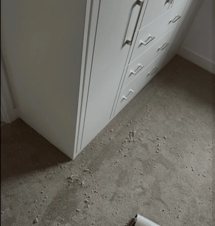 Images Special Ops Flooring