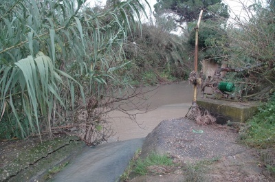 Images Geoambiente