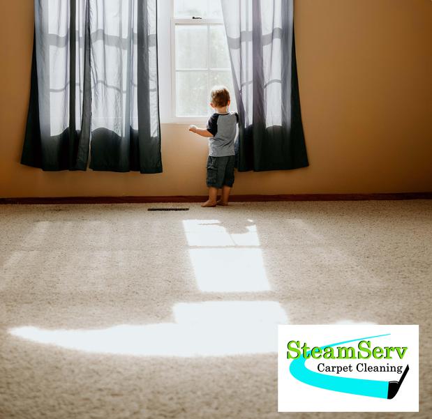 Images SteamServ Carpet Cleaning