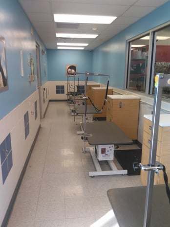 Images Petco Grooming