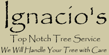 Ignacio's Top Notch Tree Service
