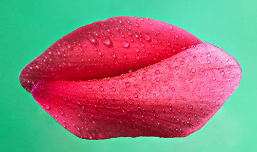 Dieter Ertel, Rohrbacher Str.  28 in Grub