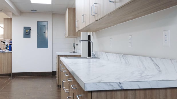 Images Solomon Veterinary Clinic