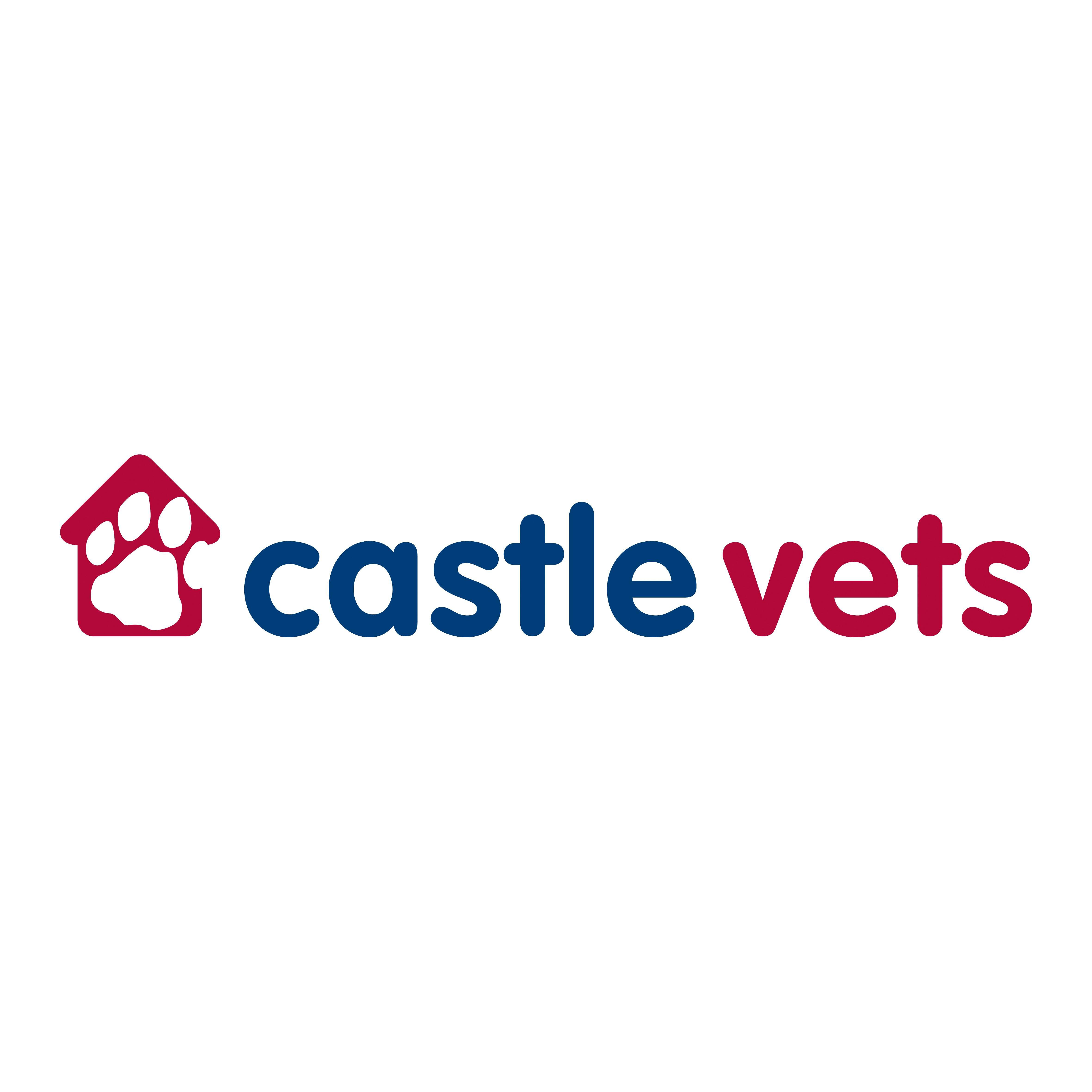 Castle Vets, Farnham Logo