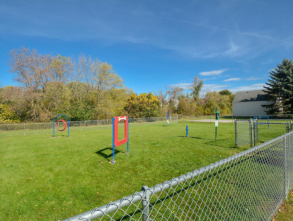 Fenced-In Dog Park