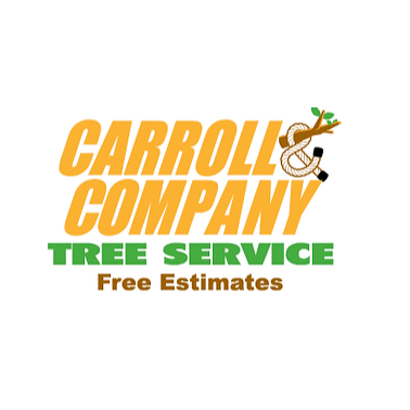 Carroll And Company Tree Service