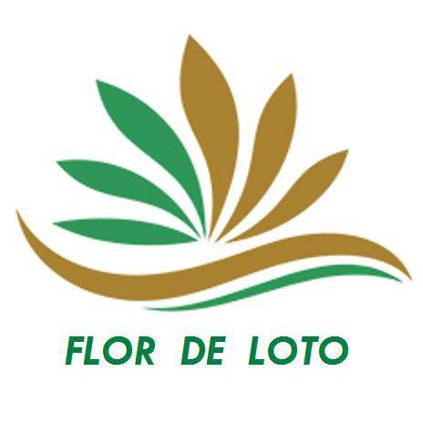 Flor De Loto Segovia