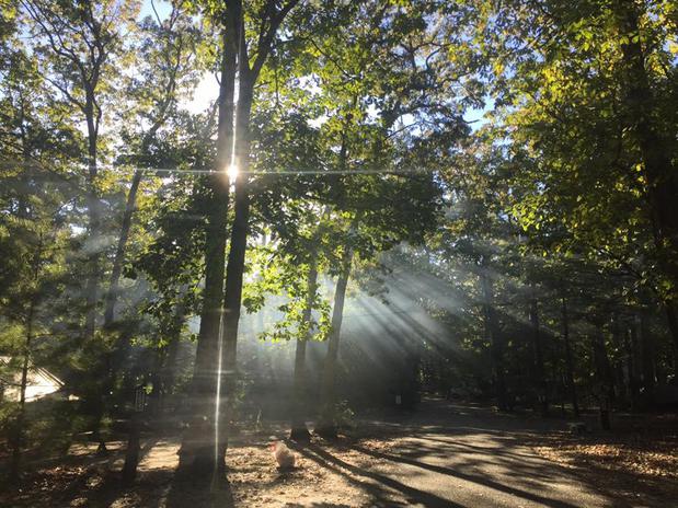 Images Whippoorwill Campground
