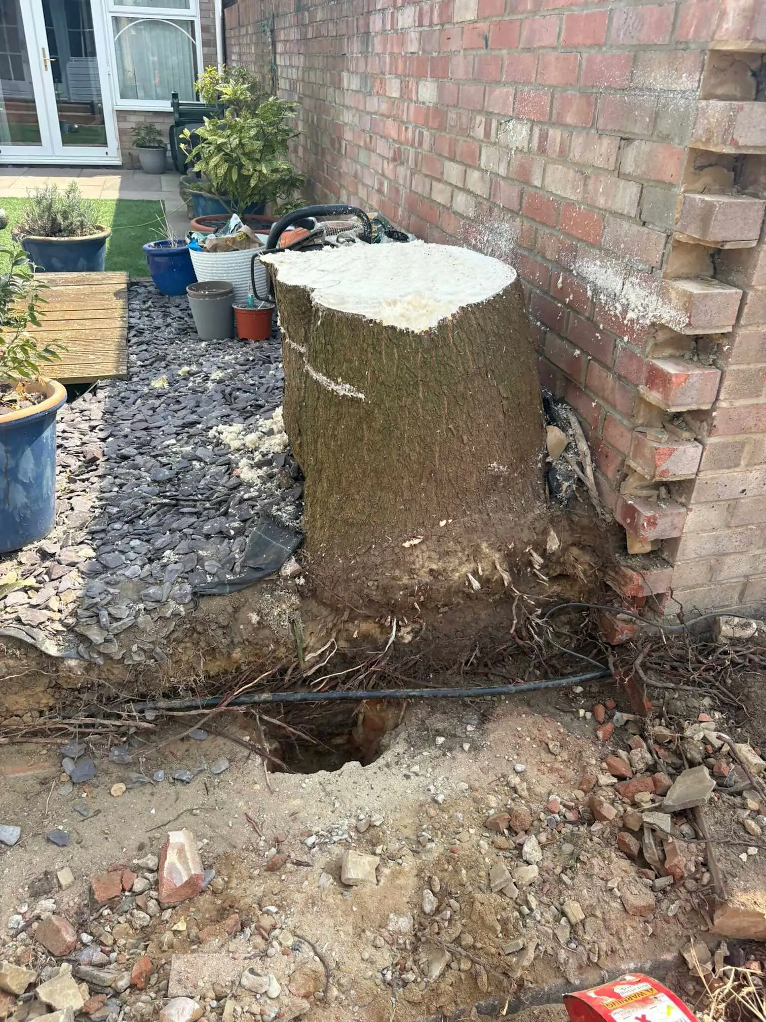 Images Arborist Tree Surgeons
