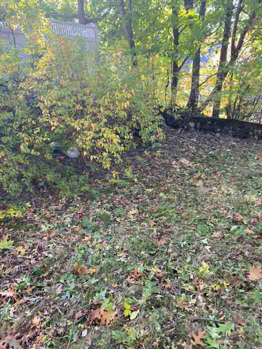 BCG Landscaping Logo