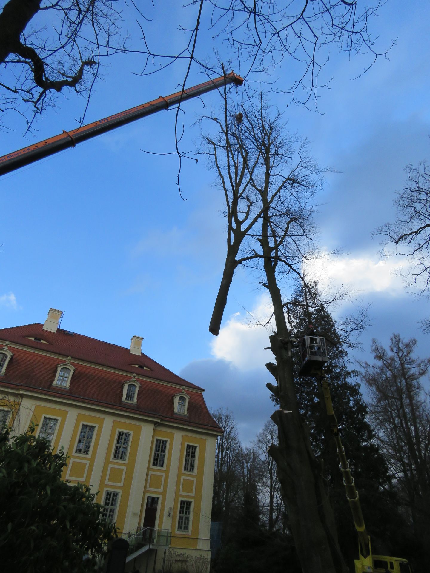 Andreas Deppner Baumpflege, Meißner Str. 432 in Radebeul