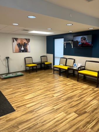 Images VCA Castle Shannon Animal Hospital