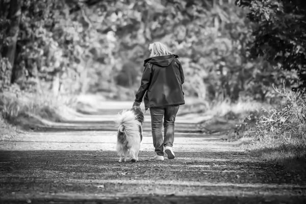 Fotogebell Hundefotografie - Carsten Pöhler Spaziergang mit Hund auf Waldweg, natürliche Outdoorfotografie Münster. Emotionale und dokumentarische Darstellung der Mensch-Hund-Beziehung.