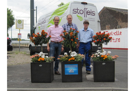 Stoffels - Florale Gestaltungen, Itterstr. 118 in Düsseldorf
