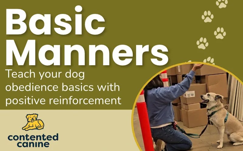 Image of Local Pet Event Basic Manners Training | Monroe WA Nearby