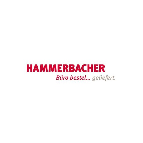Logo Hammerbacher GmbH