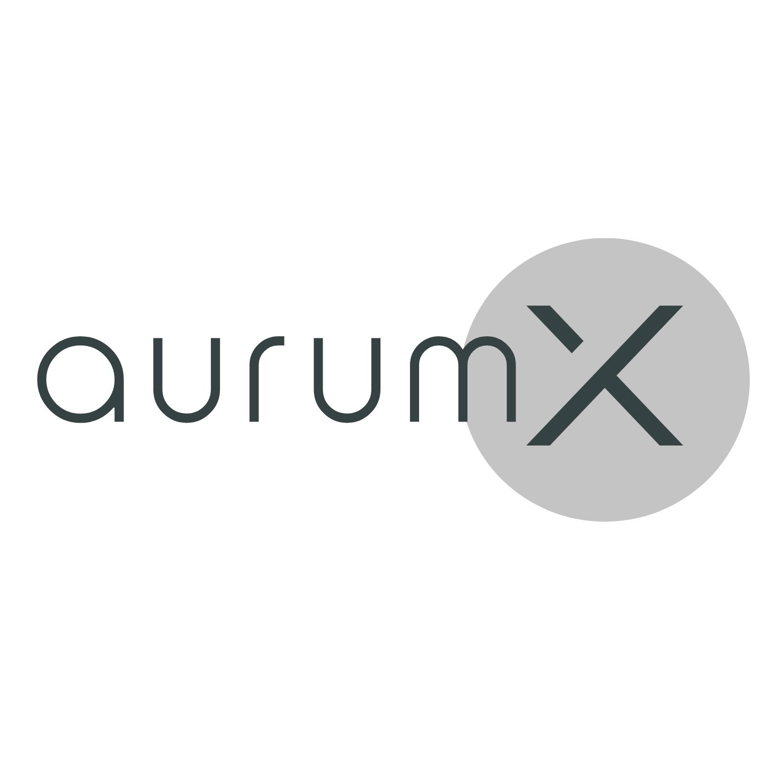 aurum X GmbH in Karlsfeld - Logo