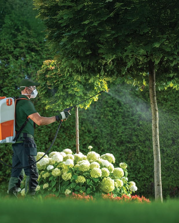 Images Great Estates Landscaping