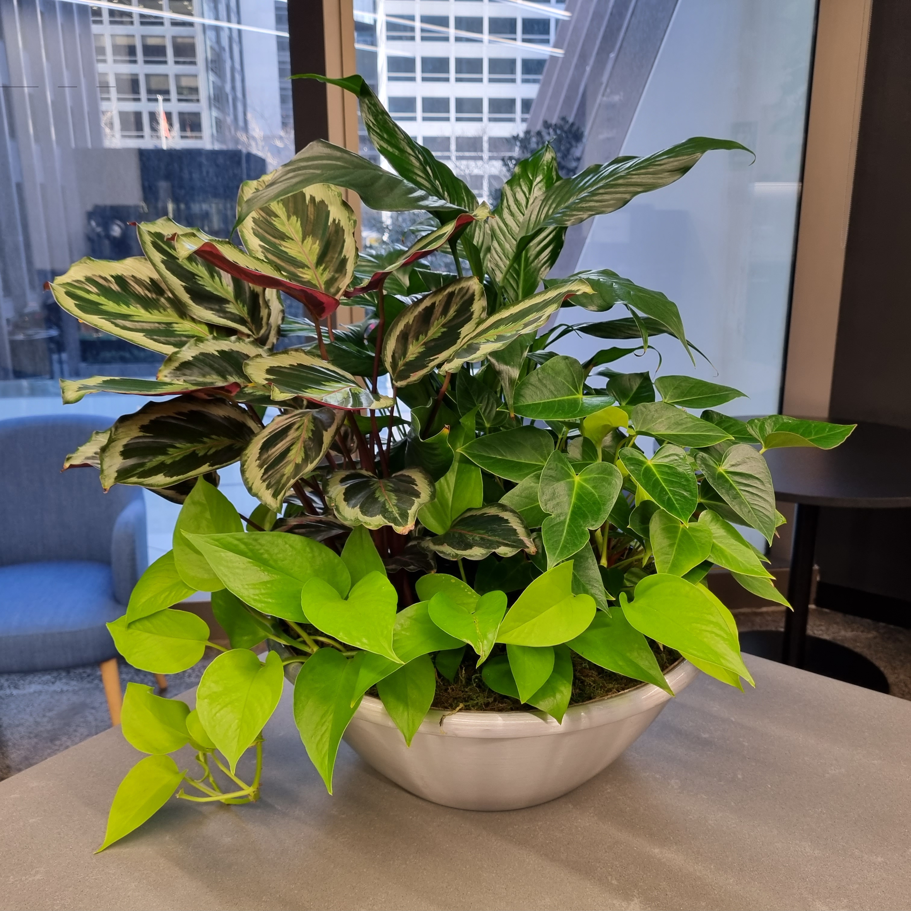 Images Plants For Hire Pty Ltd