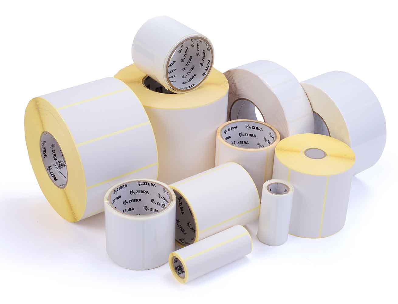 Palmetto Data Systems, LLC Logo