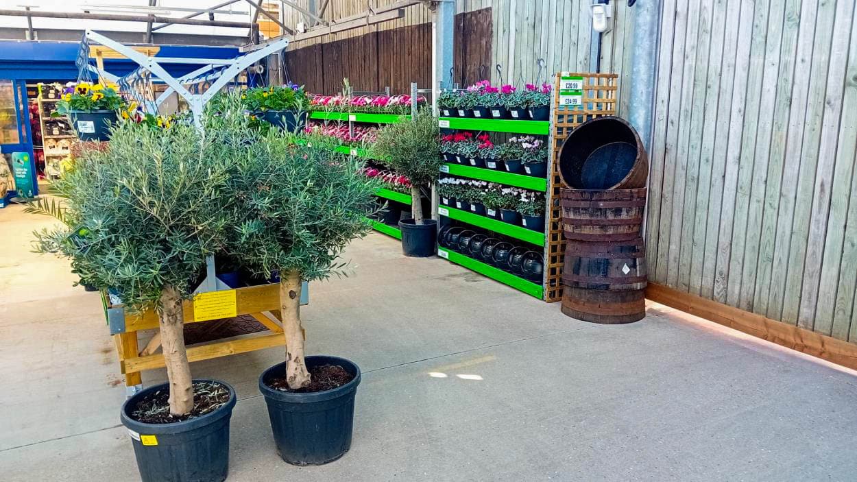 Images B&M Home Store with Garden Centre