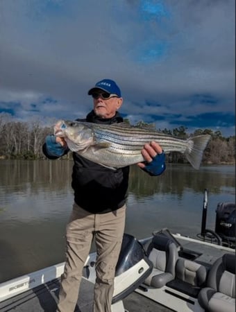 Images Bells Marina & Resort