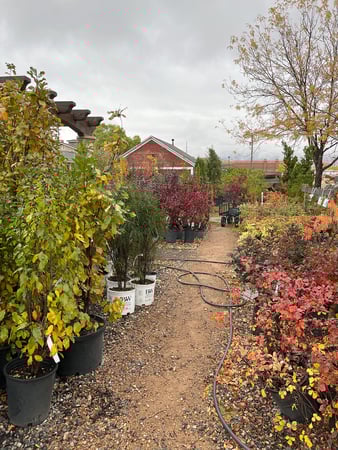 Images Landscape Supply of Utah