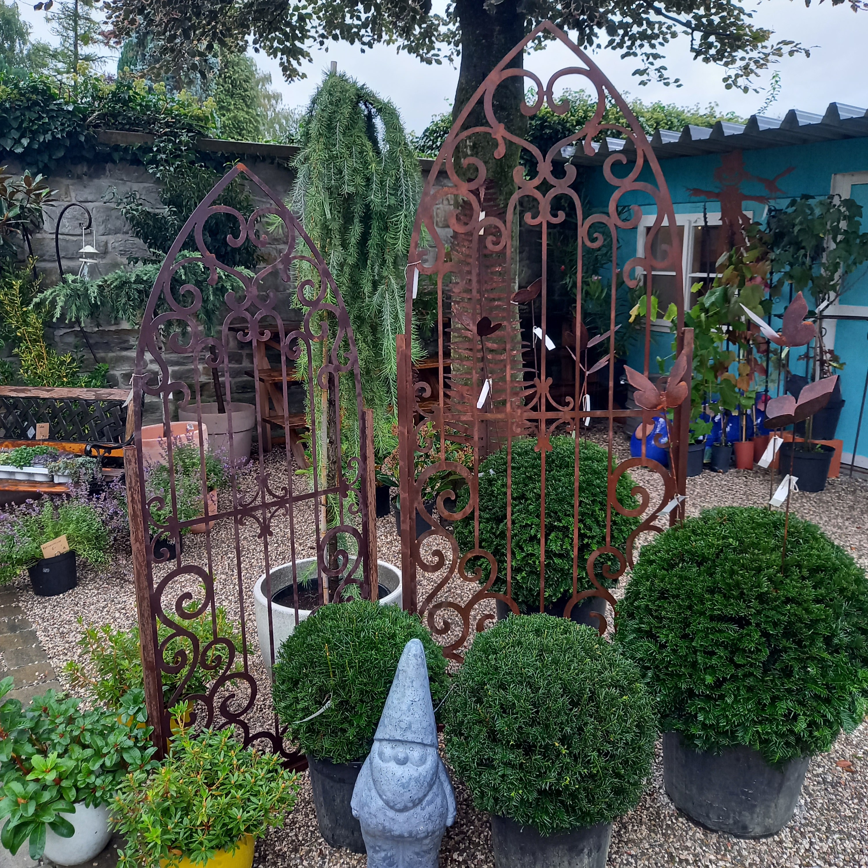 Bild 62 von Grün-Zone