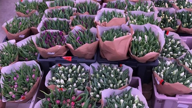 Images Florahallen i Årsta AB