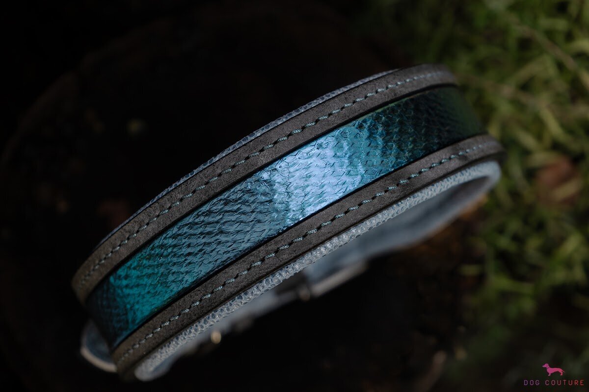 Dog Couture by Lisa in Eppstein