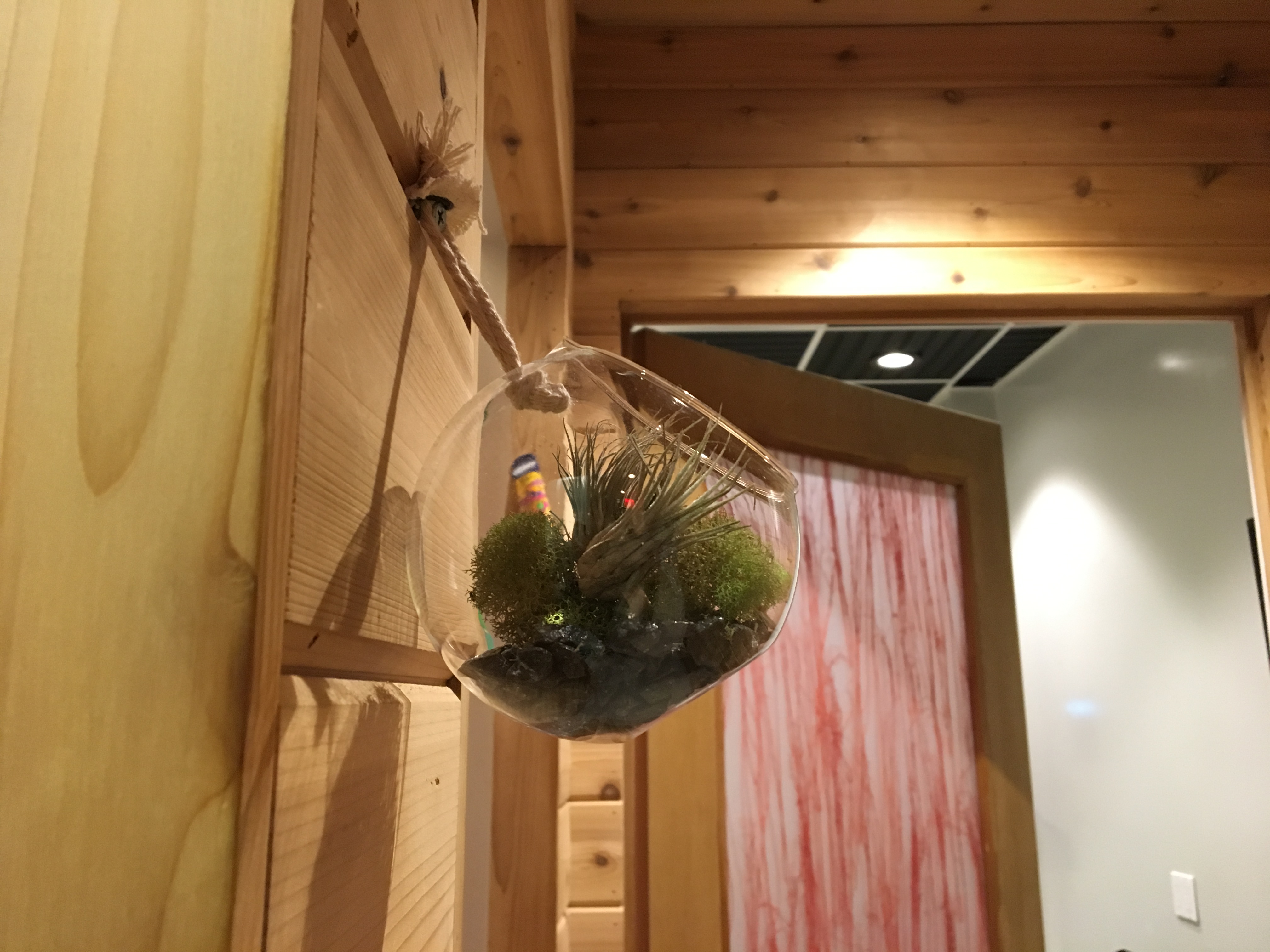 The Dermatology Specialists - Upper West Side