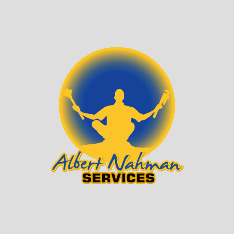 Albert Nahman Services Logo