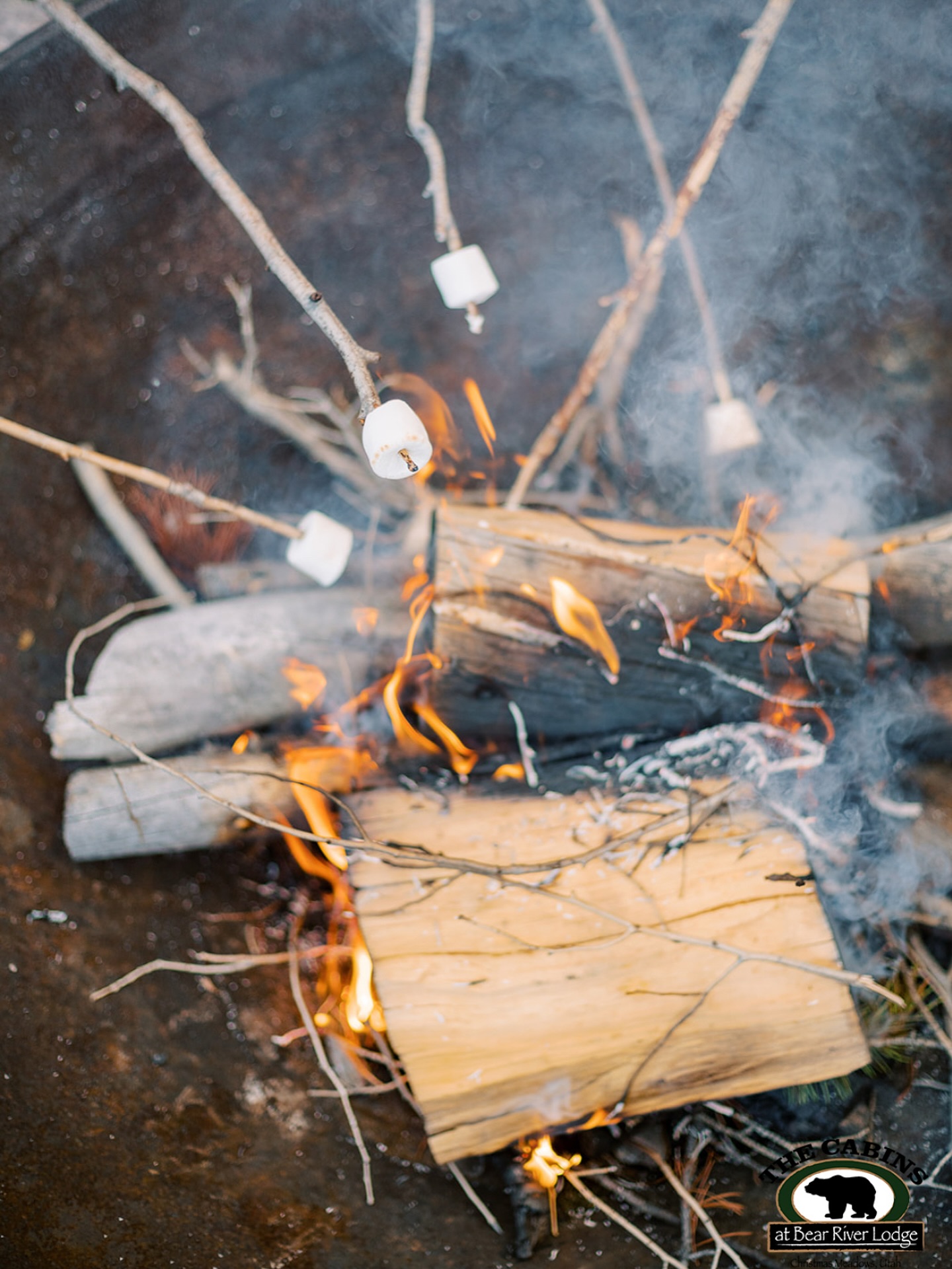 The Cabins at Bear River Lodge Image