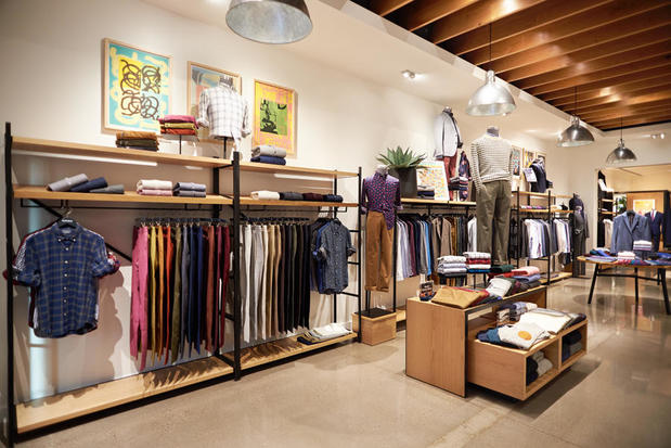 Images Bonobos
