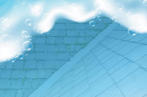 Images Grime Fighters Soft Wash